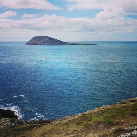 Caffi Ty Newydd Cafe