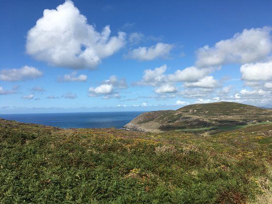 Mynydd Mawr