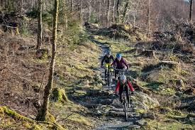 Coed-y-Brenin