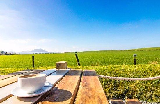 Caffi Porthdinllaen